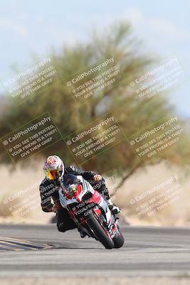 media/Oct-13-2025-Moto Forza (Mon) [[a66d839500]]/3-B Group/Session 4 Turn 4 Tree of Life/